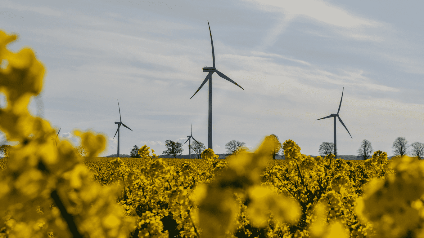 Neoen Inaugurates 412 MW Goyder South Wind Farm, Now South Australia's Largest 