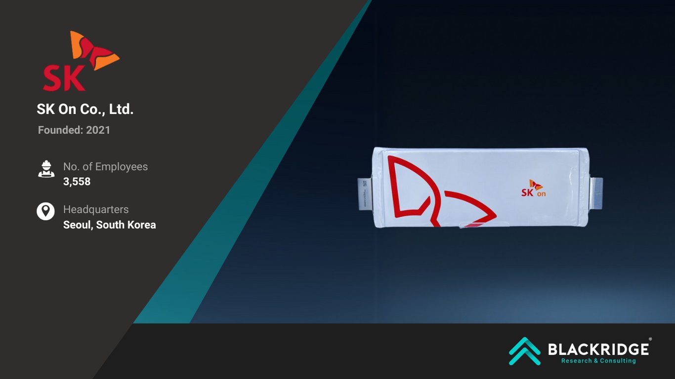 Top Battery Companies