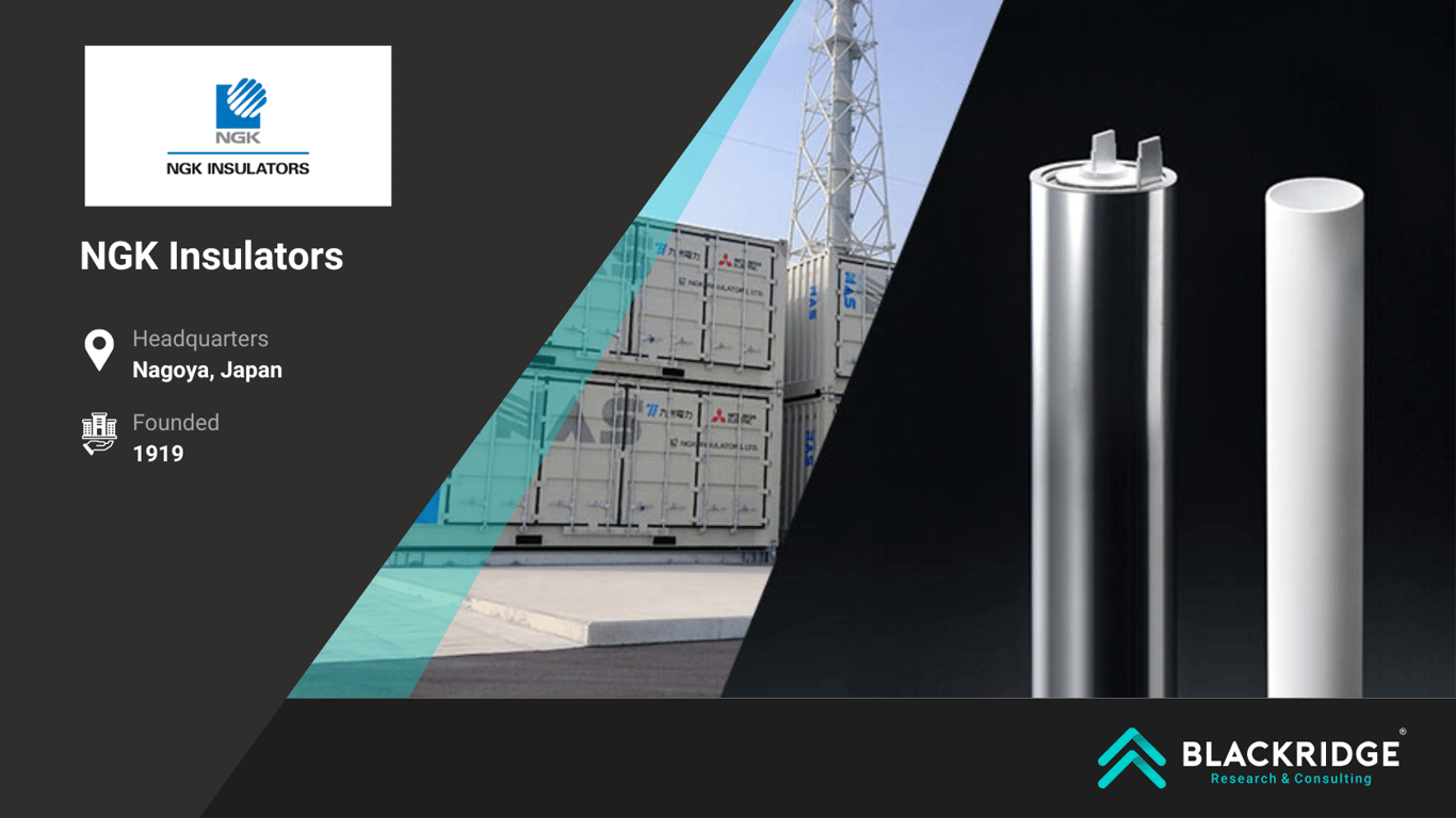 Sodium ion Battery Manufacturers