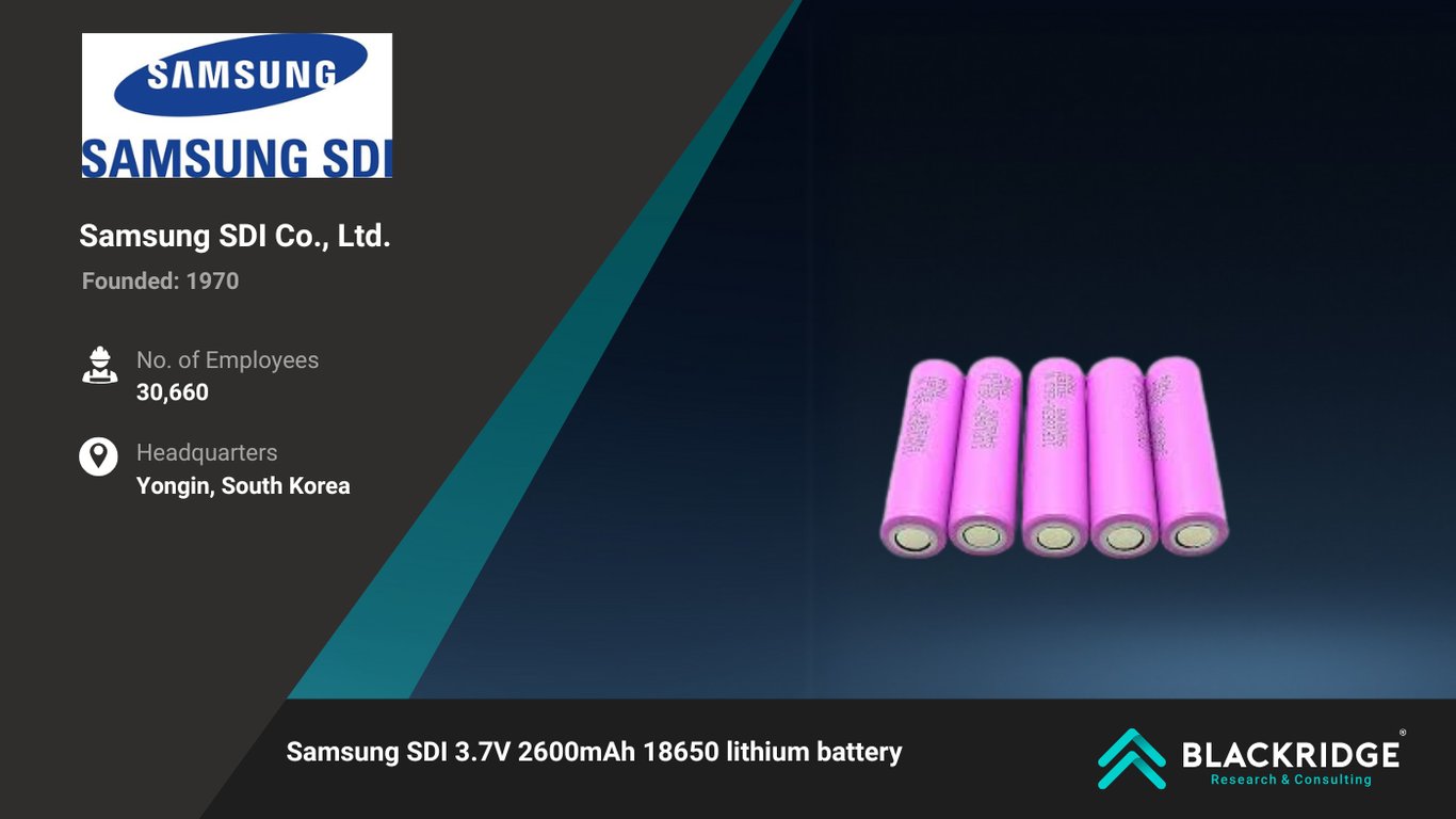 Top Battery Companies