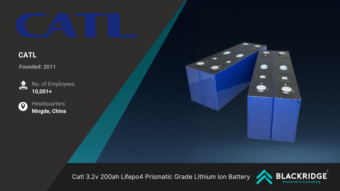 Top Battery Companies