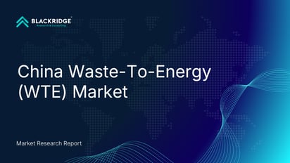 China Waste-To-Energy (WTE) Market Outlook to 2030