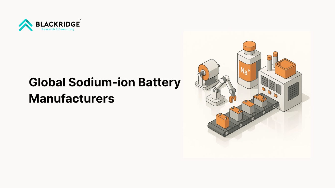 Global Top 10 Sodium-ion Battery Manufacturers [2025]