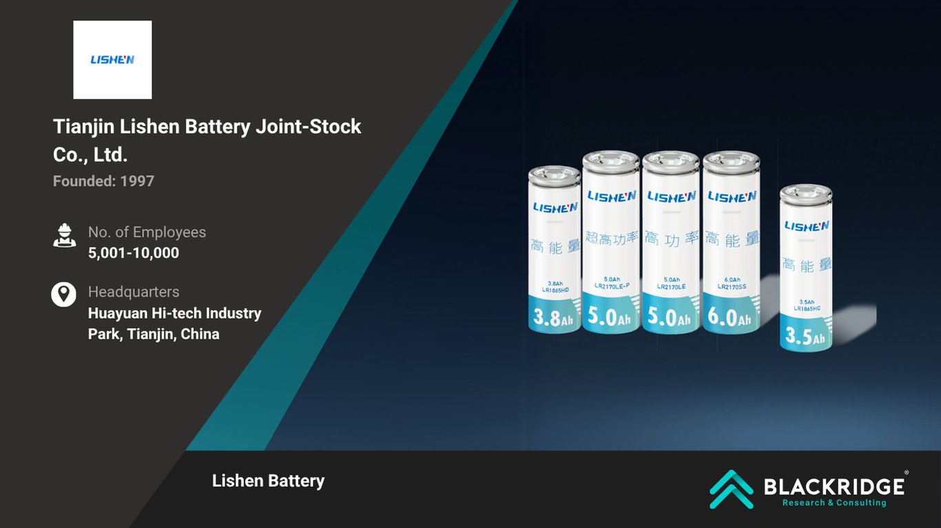 Top Battery Companies
