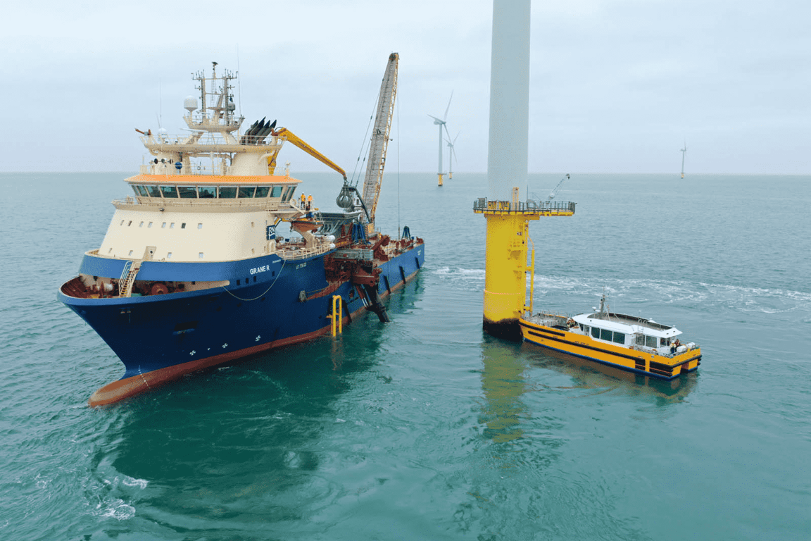  RWE and ARC Marine Deploy 75,000 Eco-Engineered Reef Cubes at Rampion Offshore Wind Farm