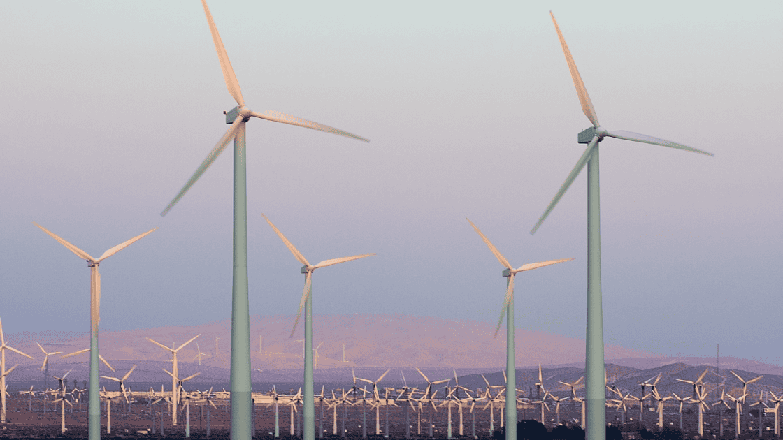 Javelina Wind Energy Center
