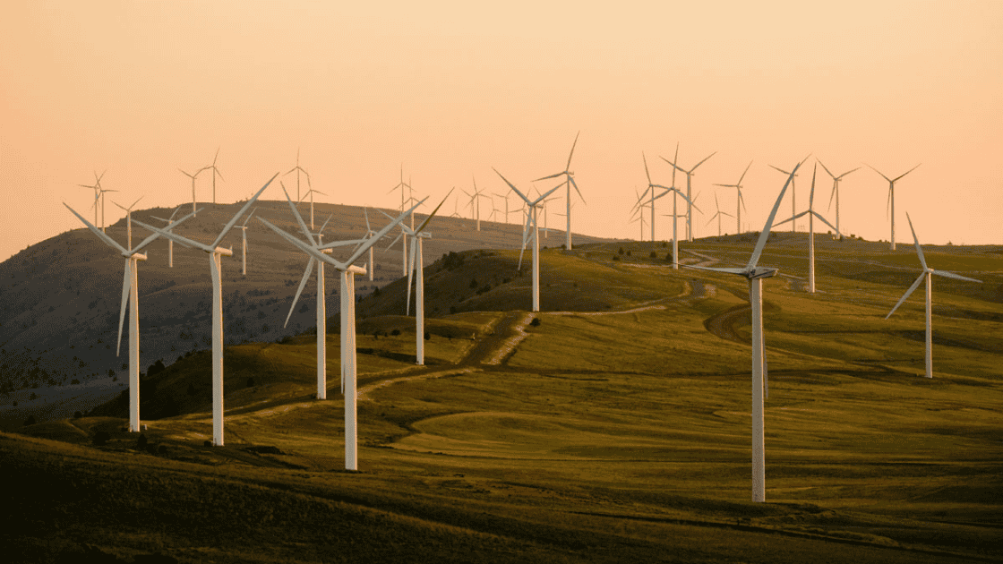 Capricorn Ridge Wind Farm