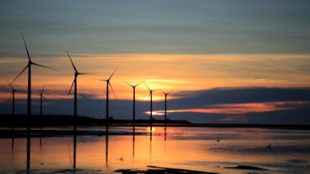 Japan Maintains Wind Power Confidence Despite Mitsubishi's Exit from Major Offshore Projects